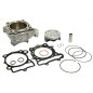 ATHENA CYLINDER KOMPLETNY KAWASAKI KXF 250 '11-'12 BIG BORE 83MM (+6MM=290CCM) 14,2:1