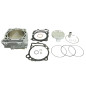 ATHENA CYLINDER KOMPLETNY SUZUKI RMZ 450 '13-'18 BIG BORE = 100 MM (+4MM= 490CCM)