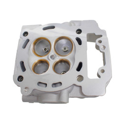 GŁOWICA CYLINDRA Z EGR SFA1000