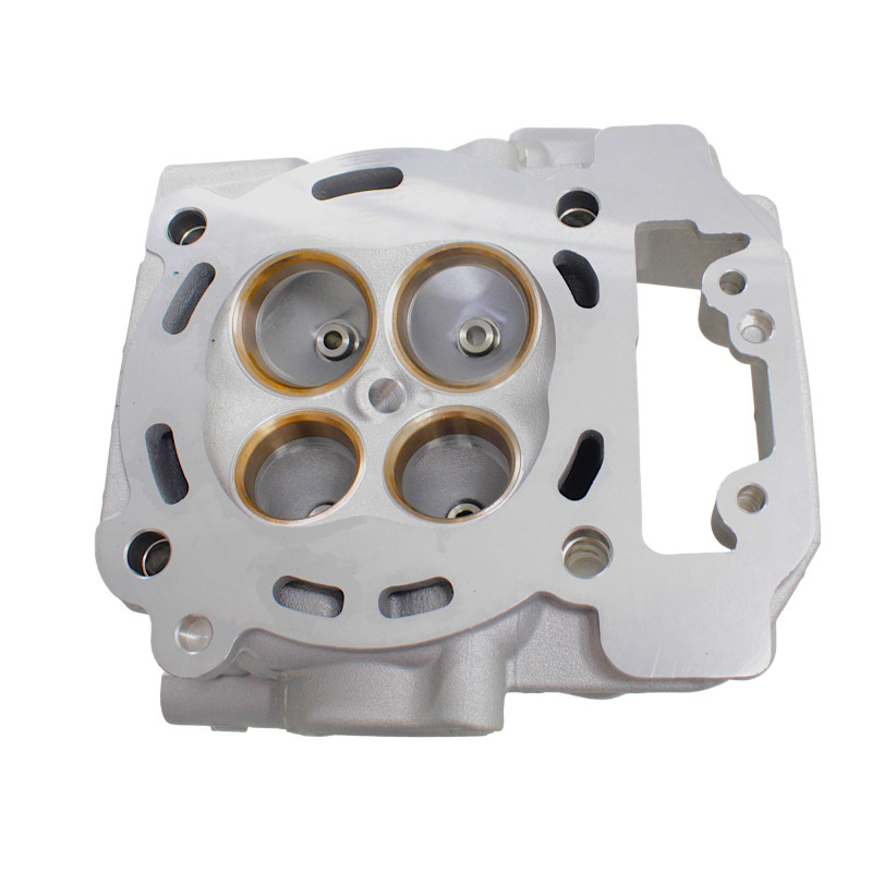 GŁOWICA CYLINDRA Z EGR SFA1000 GŁOWICA CYLINDRA Z EGR SFA1000