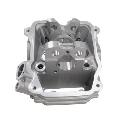 GŁOWICA CYLINDRA Z EGR SFA1000