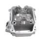 GŁOWICA CYLINDRA Z EGR SFA1000 GŁOWICA CYLINDRA Z EGR SFA1000