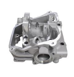 GŁOWICA CYLINDRA Z EGR SFA1000