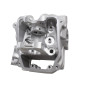 GŁOWICA CYLINDRA Z EGR SFA1000 GŁOWICA CYLINDRA Z EGR SFA1000