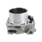 CYLINDER SFA600