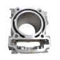 CYLINDER PRZEDNI Z UKŁADEM EGR SFA1000 CYLINDER PRZEDNI Z UKŁADEM EGR SFA1000