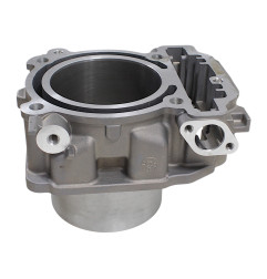 CYLINDER PRZEDNI Z UKŁADEM EGR SFA1000