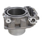 CYLINDER PRZEDNI Z UKŁADEM EGR SFA1000 CYLINDER PRZEDNI Z UKŁADEM EGR SFA1000