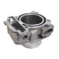 CYLINDER PRZEDNI Z UKŁADEM EGR SFA1000 CYLINDER PRZEDNI Z UKŁADEM EGR SFA1000