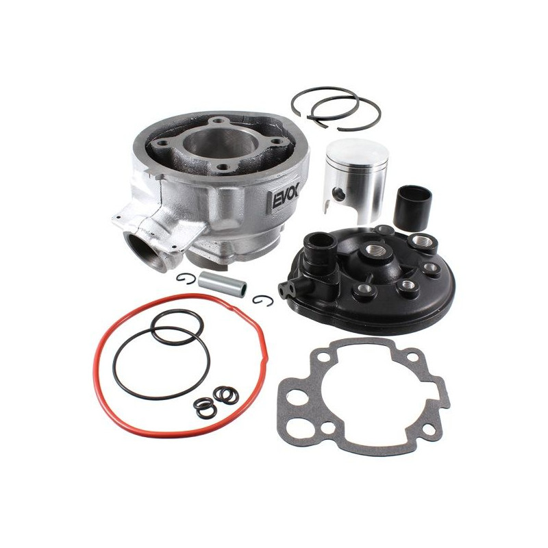 RMS CYLINDER KOMPLETNY MINARELLI AM6 D.49 73.5CC (EVOK)