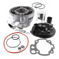 RMS CYLINDER KOMPLETNY MINARELLI AM6 D.49 73.5CC (EVOK)