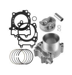 Cylinder kompletny Polaris Sportsman RZR 570 3024041
