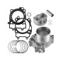 Cylinder kompletny Polaris Sportsman RZR 570 3024041