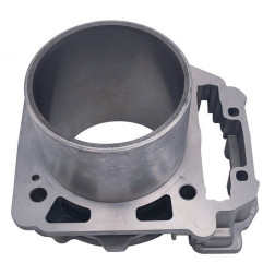 Cylinder odes 800 21040109001