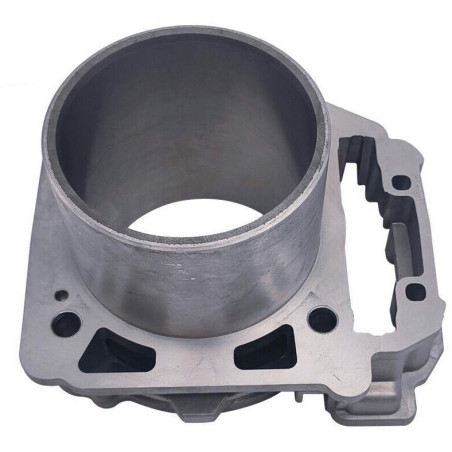 Cylinder odes 800 21040109001