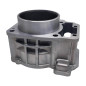 Cylinder cfmoto cforce 450 0GQ0-023100-00020