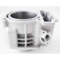 Cylinder cfmoto cforce 520 0GR0-023100