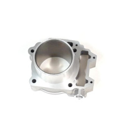 Cylinder Segway Snarler AT6  F01A30100001 F01A30100003