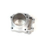 Cylinder Segway Snarler AT6  F01A30100001 F01A30100003