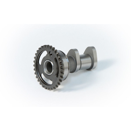 HOT CAMS WAŁEK ROZRZĄDU KAWASAKI SSĄCY KX 250F 04-10, RMZ 250`04-06