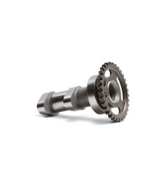 HOT CAMS WAŁEK ROZRZĄDU SUZUKI RMZ 250 10-12 SSĄCY
