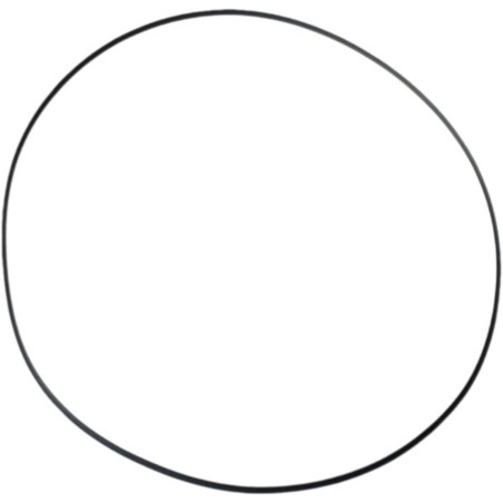 ATHENA 2026/01 USZCZELKA POKRYWY SPRZĘGŁA (ZEWNĘTRZNA) (O-RING NBR) (200 X 206 X 3MM) POLARIS (OEM: 5412458)