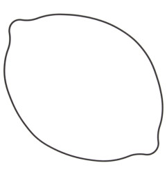 WINDEROSA (VERTEX) USZCZELKA POKRYWY SPRZĘGŁA SUZUKI RM250 (RM 250) 90-95, RMX250 89-99 (ZEWNĘTRZNA) (O-RING)