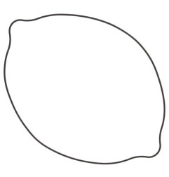 WINDEROSA (VERTEX) USZCZELKA POKRYWY SPRZĘGŁA SUZUKI RM250 (RM 250) 90-95, RMX250 89-99 (ZEWNĘTRZNA) (O-RING)