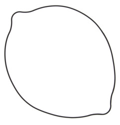 WINDEROSA (VERTEX) USZCZELKA POKRYWY SPRZĘGŁA SUZUKI RM 250 (RM250) 96-09 (ORING) (ZEWNĘTRZNA)