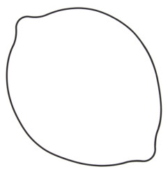 WINDEROSA (VERTEX) USZCZELKA POKRYWY SPRZĘGŁA SUZUKI RM 250 (RM250) 96-09 (ORING) (ZEWNĘTRZNA)