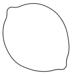 WINDEROSA (VERTEX) USZCZELKA POKRYWY SPRZĘGŁA SUZUKI RM 250 (RM250) 96-09 (ORING) (ZEWNĘTRZNA)