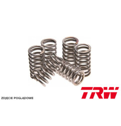 TRW ZF SPRĘŻYNY SPRZĘGŁOWE KAWASAKI ZX-7R 750 NINJA 96-02, ZXR 750 93-95, ZXR 750 R 91-95, ARCTIC CAT 400 4X4 00-02, (EBS117)