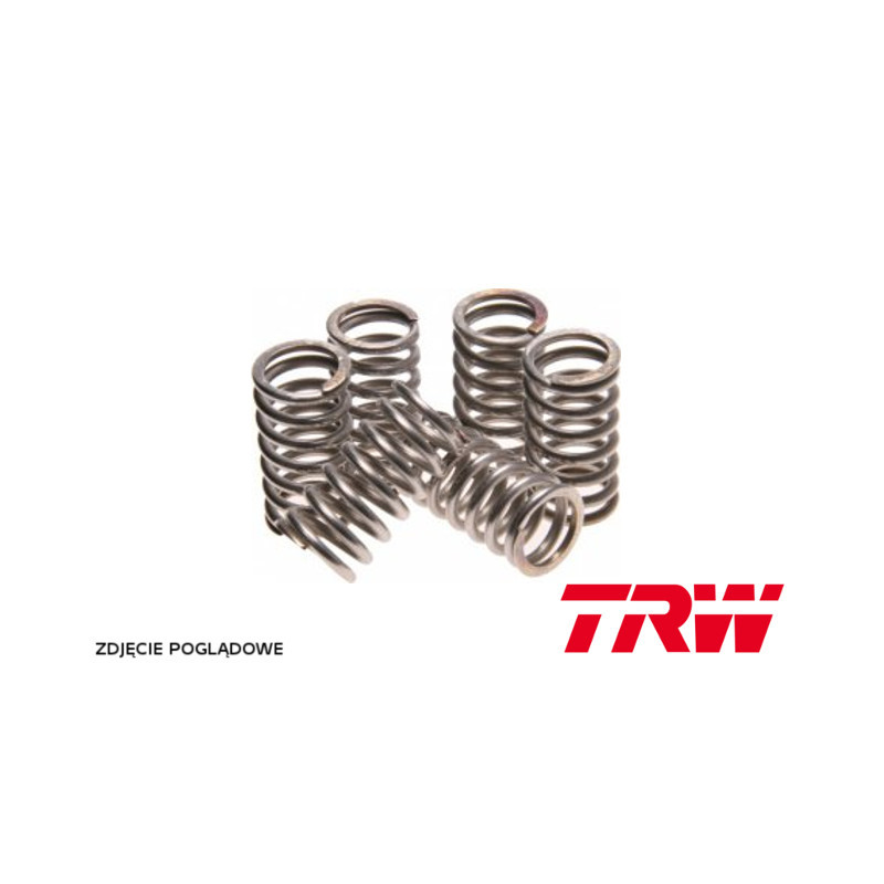TRW ZF SPRĘŻYNY SPRZĘGŁOWE KAWASAKI ZX-7R 750 NINJA 96-02, ZXR 750 93-95, ZXR 750 R 91-95, ARCTIC CAT 400 4X4 00-02, (EBS117)