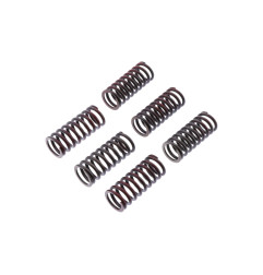 TRW ZF SPRĘŻYNY SPRZĘGŁOWE DUCATI MONSTER 620 / 696 / 800 05-14, SCRAMBLER 800 15-,