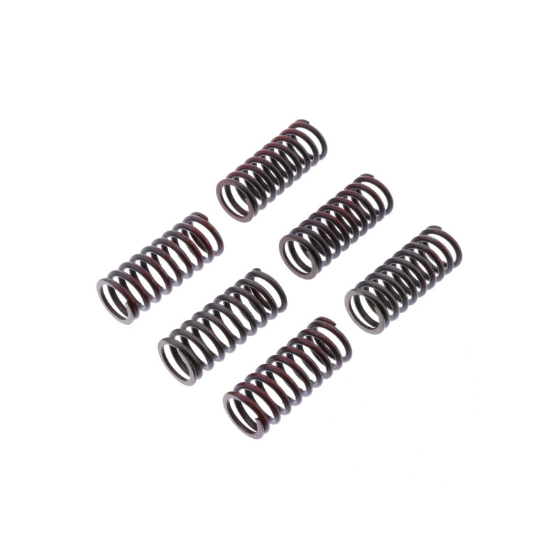 TRW ZF SPRĘŻYNY SPRZĘGŁOWE DUCATI MONSTER 620 / 696 / 800 05-14, SCRAMBLER 800 15-,