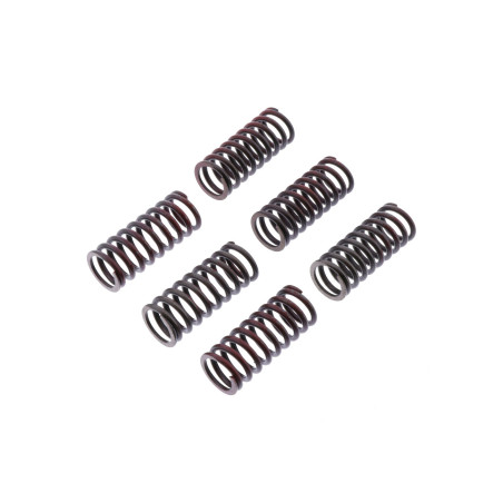 TRW ZF SPRĘŻYNY SPRZĘGŁOWE DUCATI MONSTER 620 / 696 / 800 05-14, SCRAMBLER 800 15-,