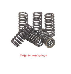 PSYCHIC SPRĘŻYNY SPRZĘGŁOWE KAWASAKI KLX 450R '08-'12, KX 450F '06-'11