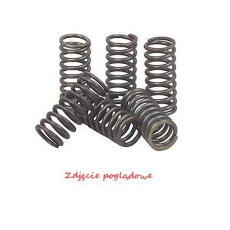 PSYCHIC SPRĘŻYNY SPRZĘGŁOWE KAWASAKI KLX 450R '08-'12, KX 450F '06-'11