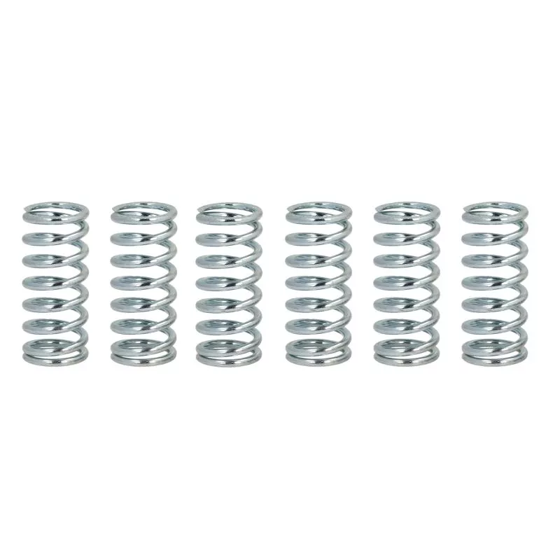 Sprężyny sprzęgła Ferodo FSS0503 Sprężyny sprzęgła Ferodo FSS0503