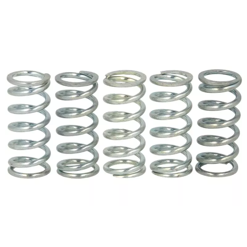 Sprężyny sprzęgła Ferodo FSS0507 Sprężyny sprzęgła Ferodo FSS0507
