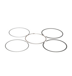 PROX PIERŚCIENIE TŁOKOWE (100.50mm) (DO TŁOKA 01.1660.050)
