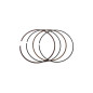 WOSSNER PIERŚCIENIE (4T) RIK 78,00MM (8,8 MM X 1,2MM) WOSSNER PIERŚCIENIE (4T) RIK 78,00MM (8,8 MM X 1,2MM)