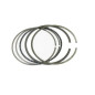 WOSSNER PIERŚCIENIE 4T 3 SZT. (98.00 X 1.0 X 1.2 X 2.0MM ) WOSSNER PIERŚCIENIE 4T 3 SZT. (98.00 X 1.0 X 1.2 X 2.0MM )