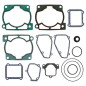 PROX USZCZELKI TOP-END BETA 300 RR '13-'21 PROX USZCZELKI TOP-END BETA 300 RR '13-'21