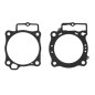 PROX USZCZELKI TOP-END HONDA CRF 450 R '19-'20, CRF 450 RX '19-'20 (GŁOWICA+CYLINDER)