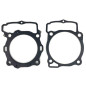 PROX USZCZELKI TOP-END BETA 480 RR '20-'21 (GŁOWICA+CYLINDER) PROX USZCZELKI TOP-END BETA 480 RR '20-'21 (GŁOWICA+CYLINDER)