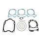 XRADICAL USZCZELKI TOP END PIAGGIO MP3 300, VESPA GTS 300, VESPA GTV 300, BEVERLY 300, APRILIA SCARABEO 300