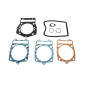 XRADICAL USZCZELKI TOP END APRILIA ATLANTIC 500 4T LC '01-'04, SCARABEO 500 '03-'06, PIAGGIO X9 500 '01-'02