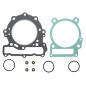 NAMURA USZCZELKI TOP-END CAN AM (BOMBARDIER) DS 650 (00-07)