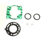 ATHENA USZCZELKI TOP-END KAWASAKI KX 80 91-97 ATHENA USZCZELKI TOP-END KAWASAKI KX 80 91-97